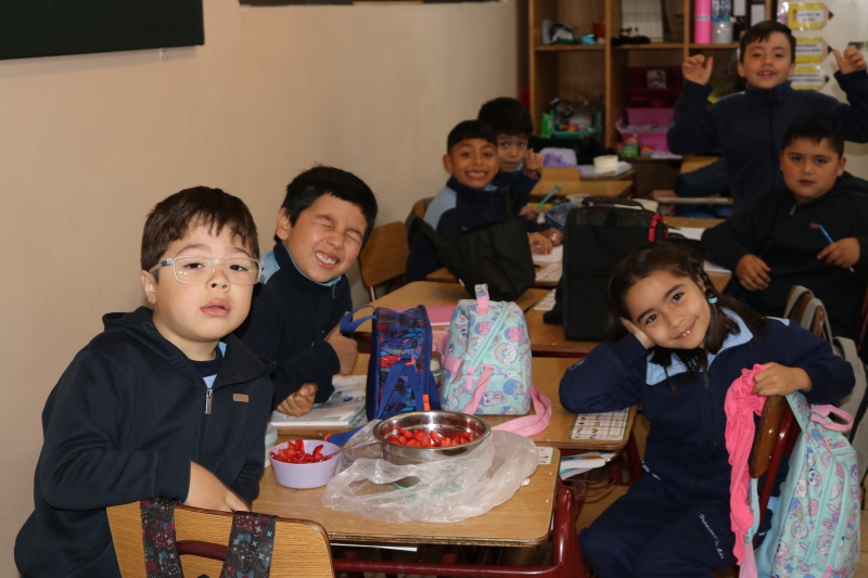 Día de la Actividad Física